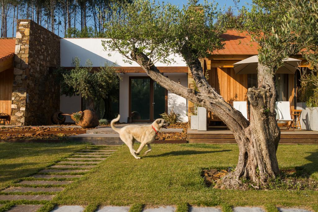 TEIMA, Alentejo SW Hostal São Teotónio Exterior foto